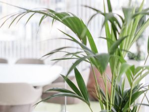 Selbstständige Ärzte Rechtsformwahl